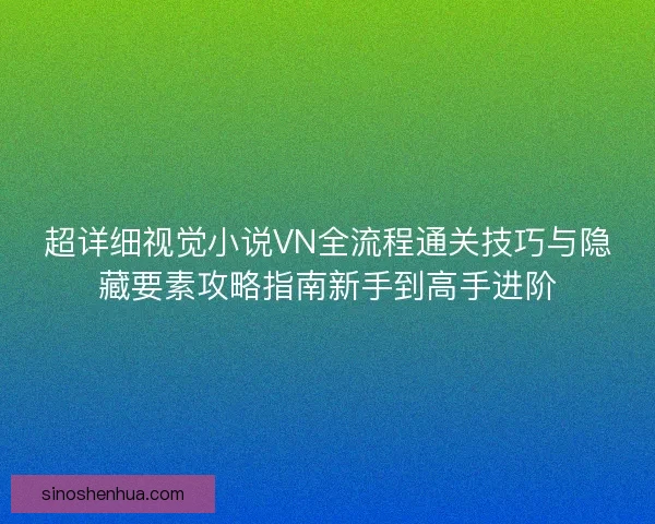 超详细视觉小说VN全流程通关技巧与隐藏要素攻略指南新手到高手进阶
